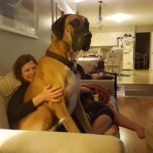 Meet your Posher, Emily